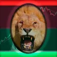 Fear&Greed