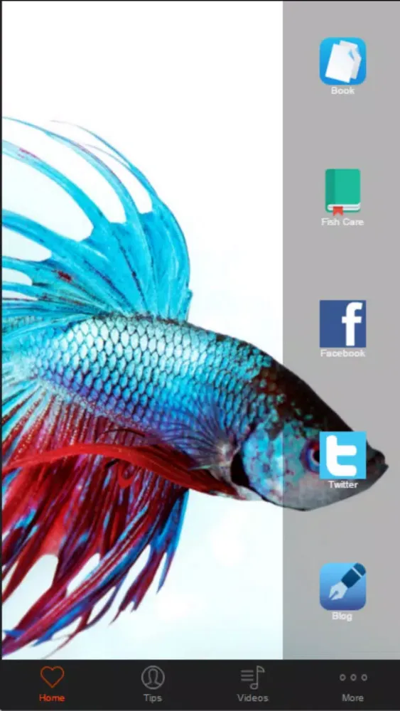 Скриншоты Betta Fish Care - Tips For Keeping A Happy And Healthy Betta