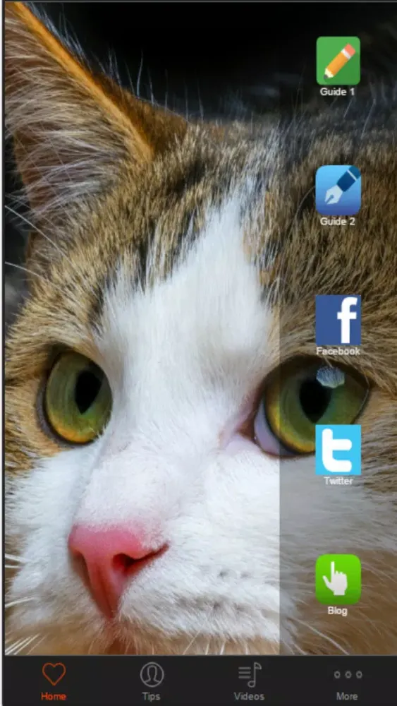 Cat Training - Basic Tips For Beginners应用截图