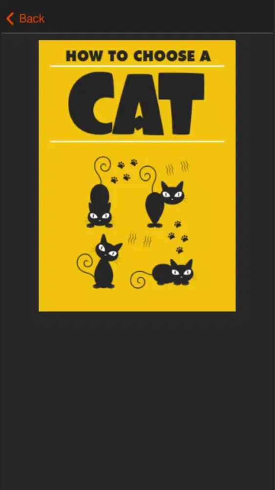 Cat Training - Basic Tips For Beginners应用截图