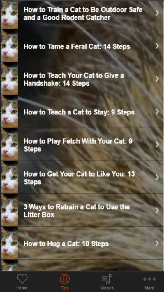 Cat Training - Basic Tips For Beginners应用截图
