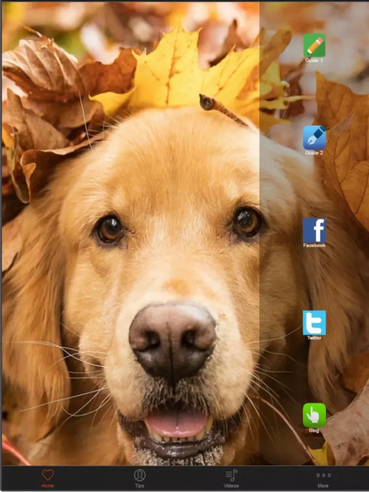 Dog Training Guide -Learn Basic Dog Training Tips iPad  スクリーンショット