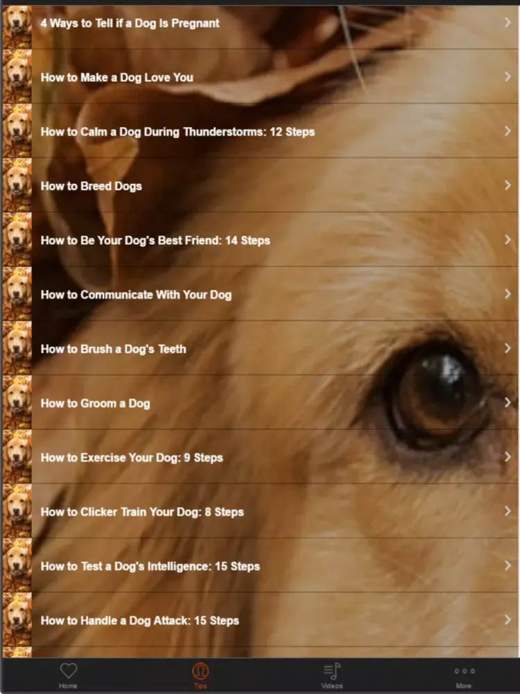 Dog Training Guide -Learn Basic Dog Training Tips iPad  スクリーンショット