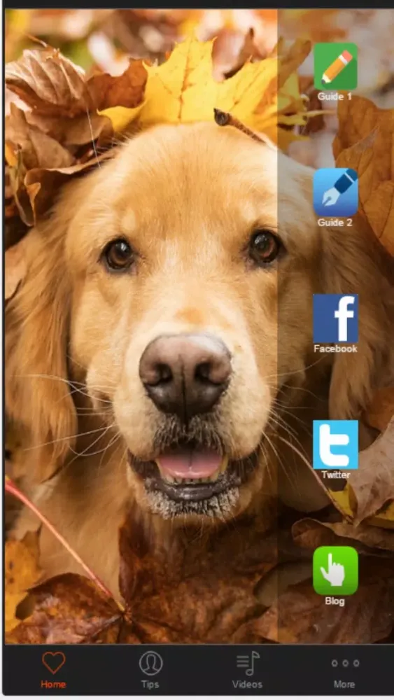Dog Training Guide -Learn Basic Dog Training Tips スクリーンショット
