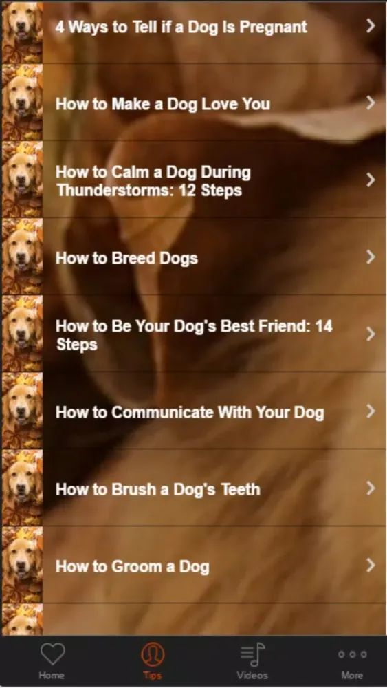 Dog Training Guide -Learn Basic Dog Training Tips スクリーンショット