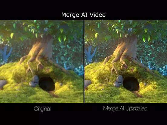 Merge AI Video iPad 应用截图
