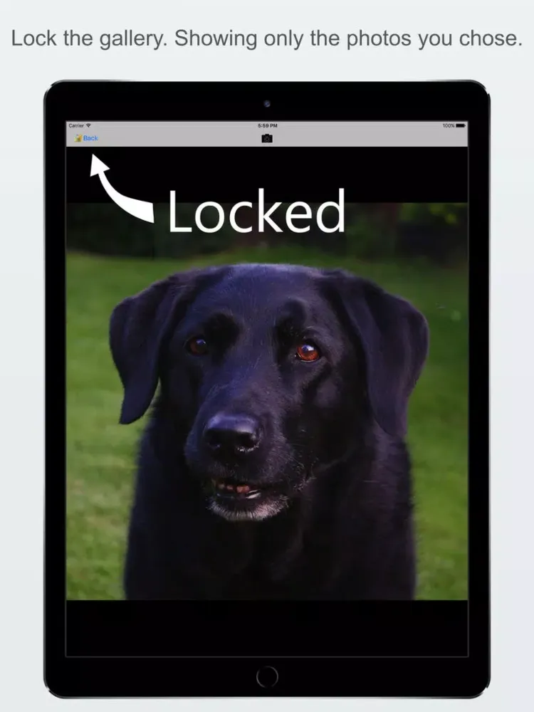 SwipeLock - Don't let a swipe make things awkward iPad  스크린샷