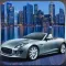 City Car Driving - Traffic