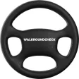 Vehicle Walkaround Check