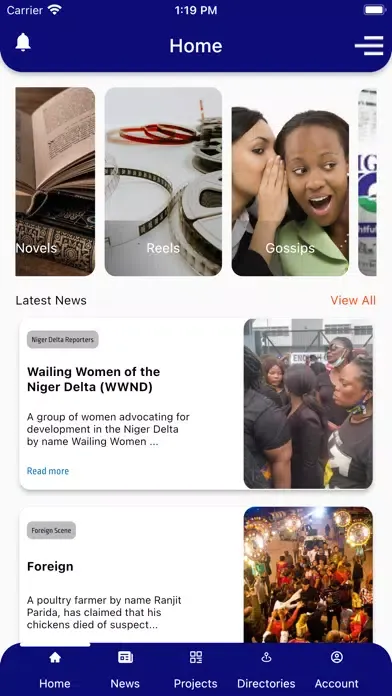 Tangkapan skrin Niger Delta Reporters