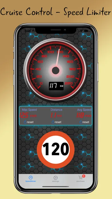 Zrzuty ekranu SpeedMeter NiKa