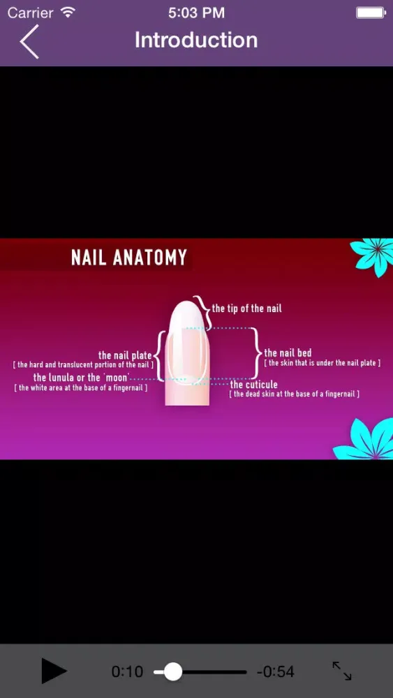 Nail Art Tutorial - Step by Step Manicure Guide Screenshots