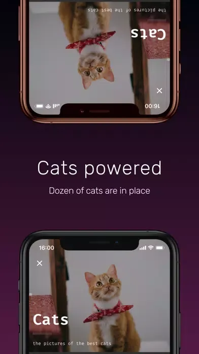 Captures d'écran de Cyber Cat Wallpapers HD