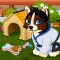 Pet House Simulator