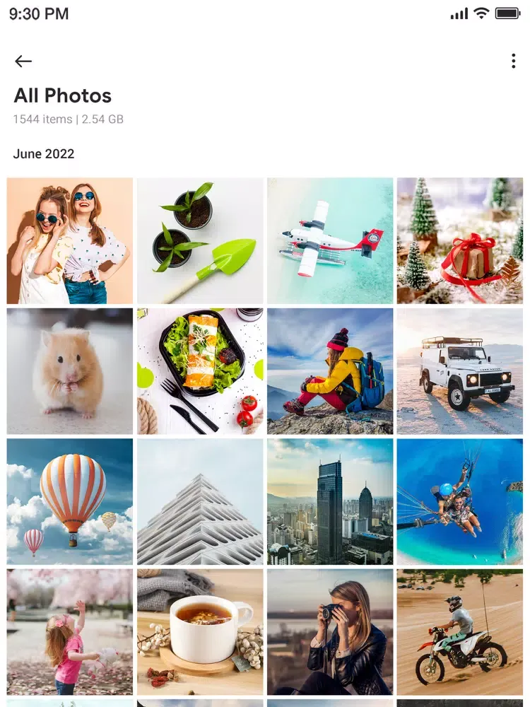 Tangkapan layar Gallery Vaulty iPad 