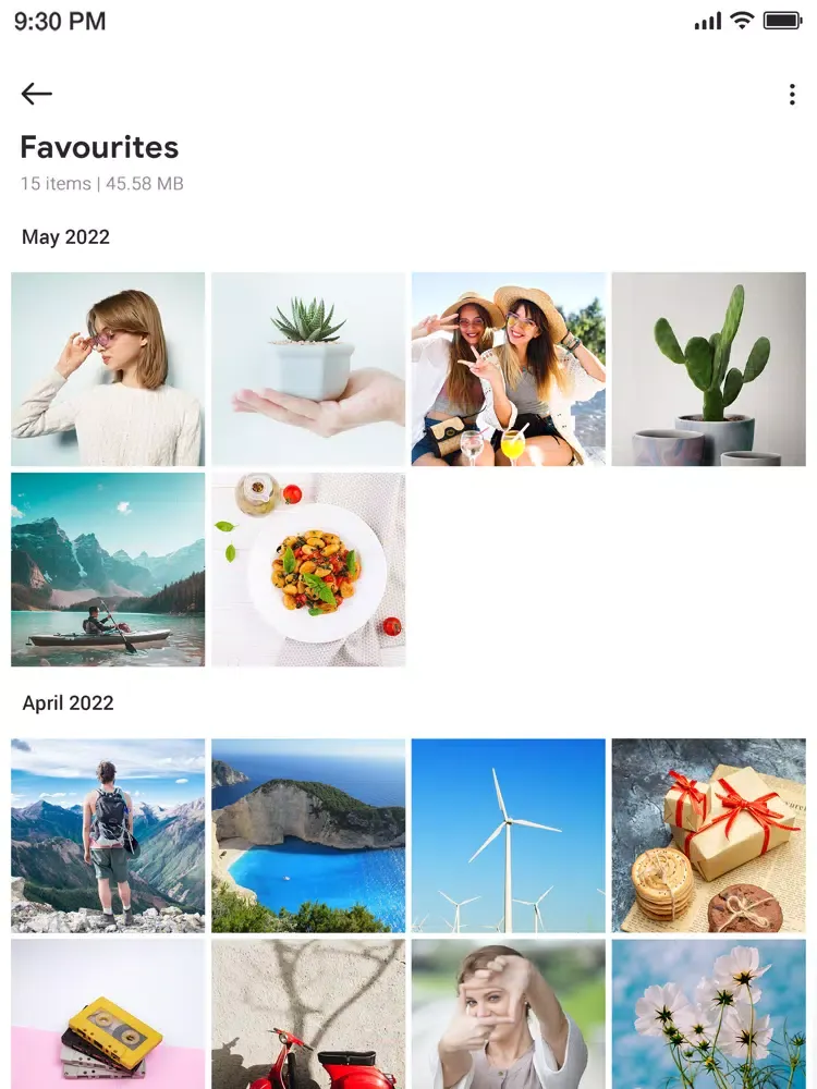 Tangkapan layar Gallery Vaulty iPad 