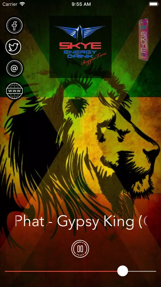 Capturas de pantalla de Skye Energy ReggaeTune Radio