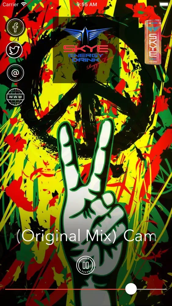 Capturas de pantalla de Skye Energy ReggaeTune Radio