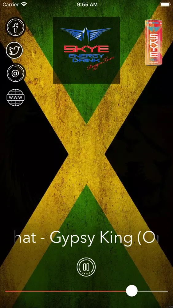 Capturas de pantalla de Skye Energy ReggaeTune Radio