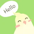BirdTalker-Teach bird to talk BirdTalker-Teach bird to talk
