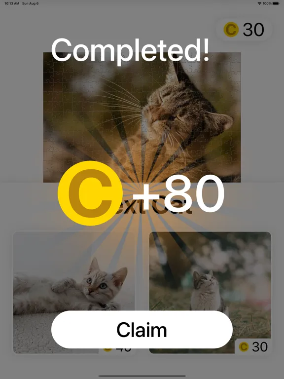 Cat Jigsaw - Classic Puzzle iPad  স্ক্রিনশট