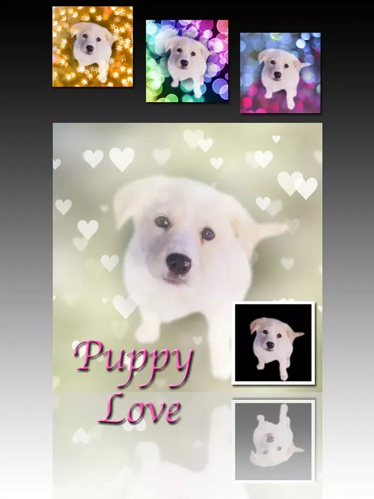 PhotoJus Bokeh iPad  سکرین شاٹس
