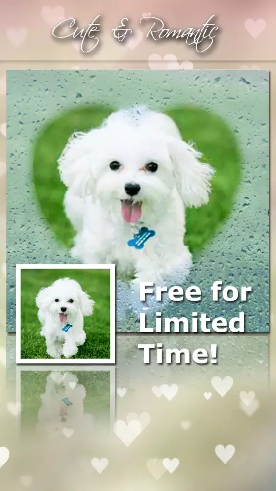 PhotoJus Cute Fog FX - Pic Effect for Instagram Screenshots