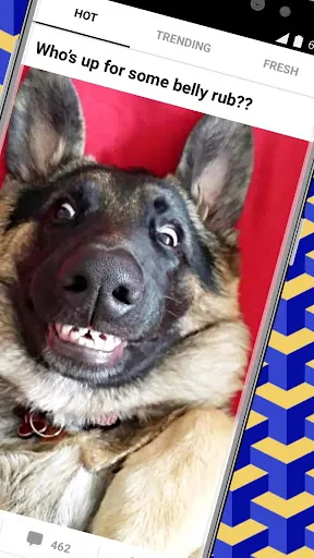 Скриншоты 9GAG: Funny GIF, Meme & Video