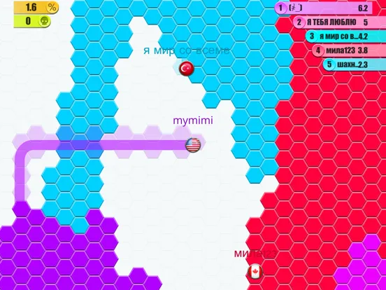 Hexa Land.io Arena grid game iPad 應用截圖