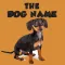 The Dog Name English Vocabulary