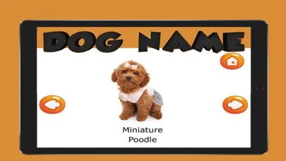 Tangkapan layar The Dog Name English Vocabulary