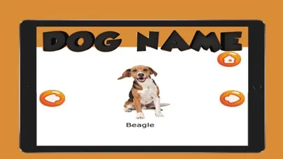 Tangkapan layar The Dog Name English Vocabulary