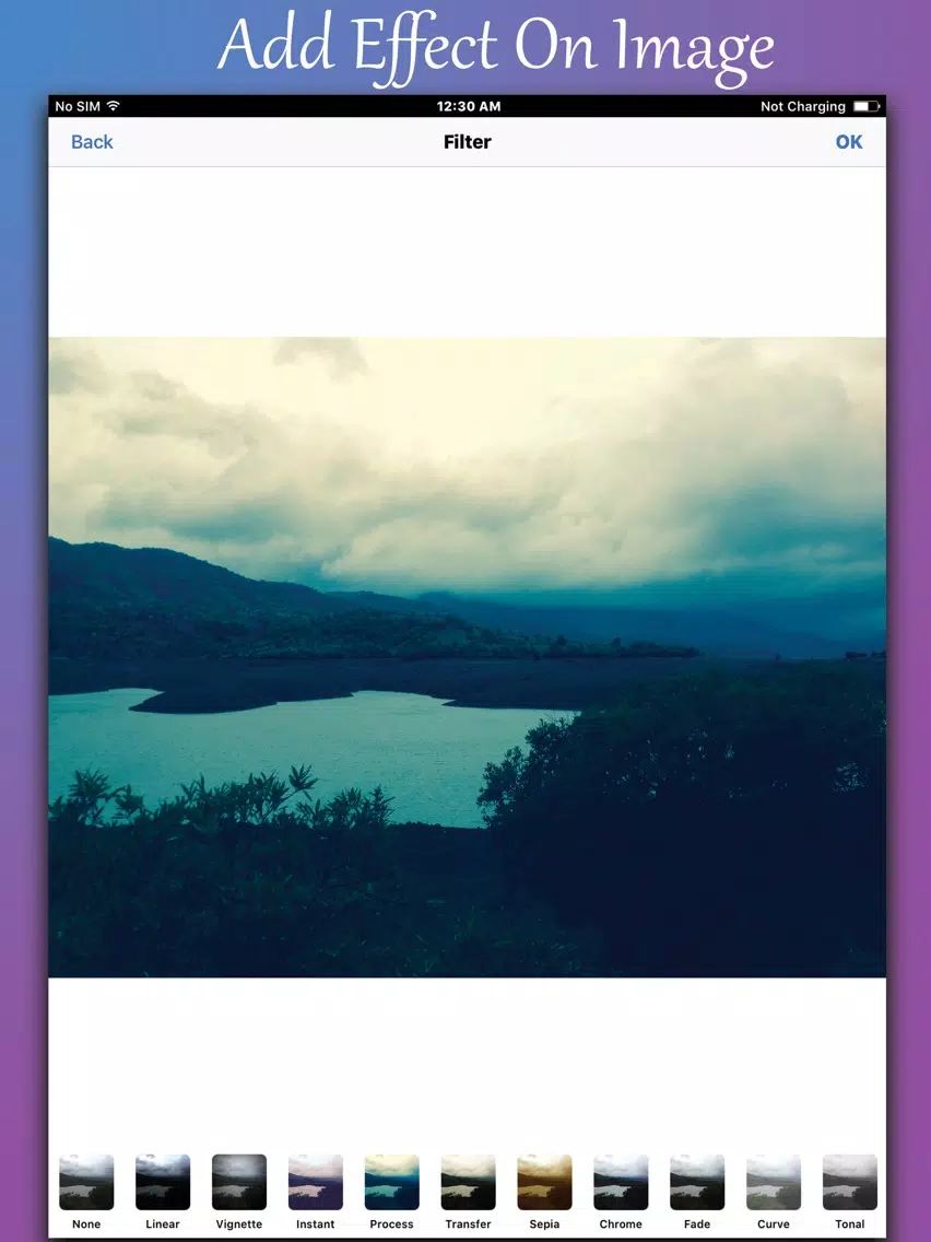 Zrzuty ekranu Picsaetor iPad 