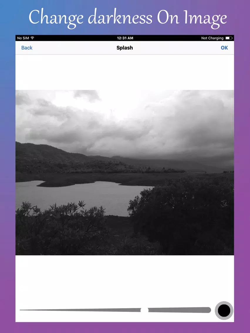 Zrzuty ekranu Picsaetor iPad 