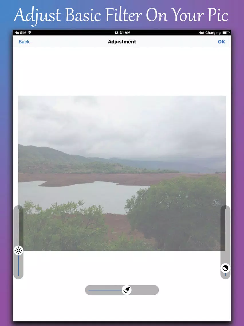 Zrzuty ekranu Picsaetor iPad 
