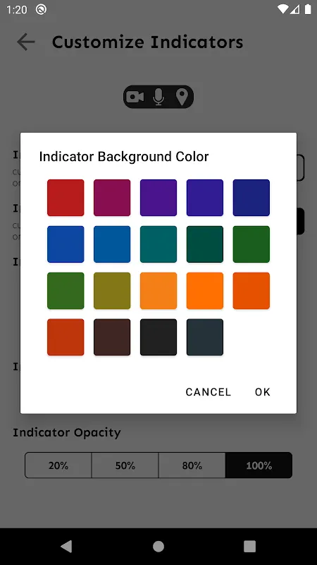 Privacy Indicators應用截圖