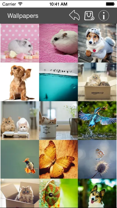 Wallpaper Collection Animals Edition Ekran Görüntüleri