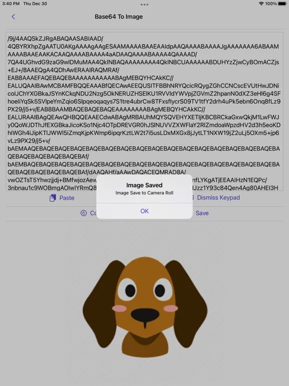 Tangkapan skrin Image to Base64 Plus iPad