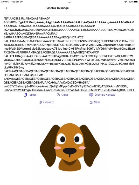 Tangkapan skrin Image to Base64 Plus iPad