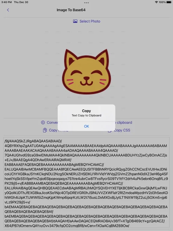 Tangkapan skrin Image to Base64 Plus iPad