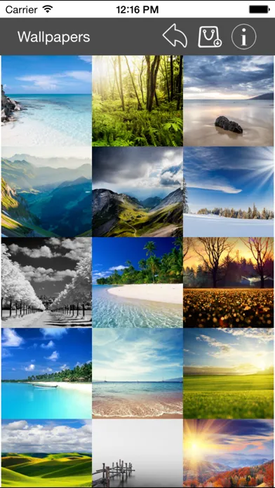 ภาพหน้าจอของ Wallpaper Collection Landscape Edition