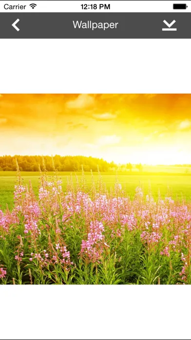 ภาพหน้าจอของ Wallpaper Collection Landscape Edition