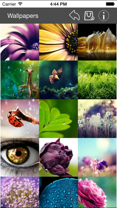 Wallpaper Collection Macro Edition Screenshots