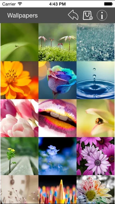 Wallpaper Collection Macro Edition Screenshots