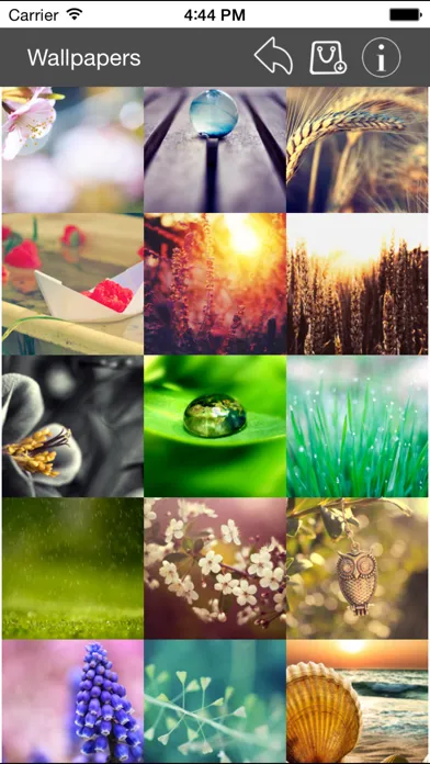 Wallpaper Collection Macro Edition Screenshots