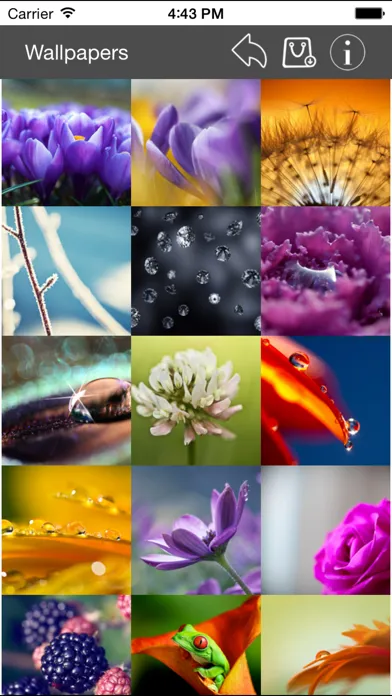 Wallpaper Collection Macro Edition Screenshots