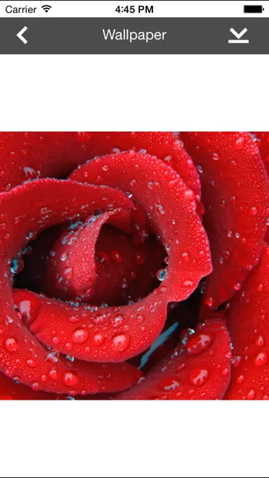 Wallpaper Collection Macro Edition Screenshots