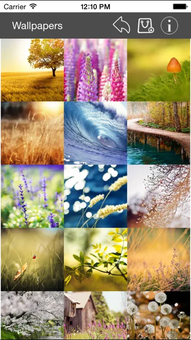 Ảnh chụp màn hình của Wallpaper Collection Nature Edition
