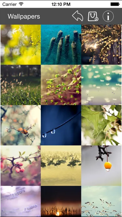 Ảnh chụp màn hình của Wallpaper Collection Nature Edition