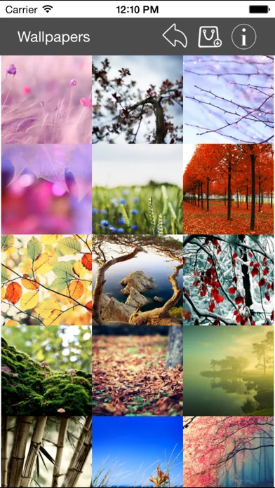 Ảnh chụp màn hình của Wallpaper Collection Nature Edition